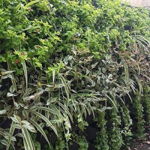 Garden Highpro