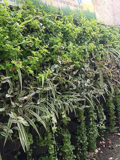 Garden Highpro