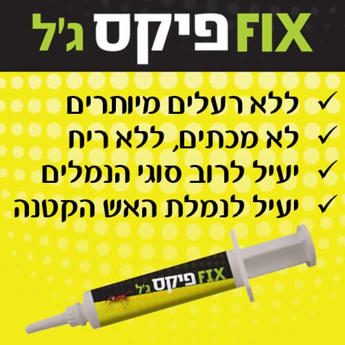 fix gel להדברת נמלים