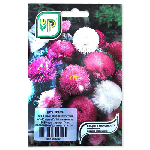 זרעי בת חן | plants4u - משתלה אונליין