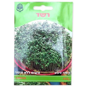 זרעי רשד | plants4u - משתלה אונליין
