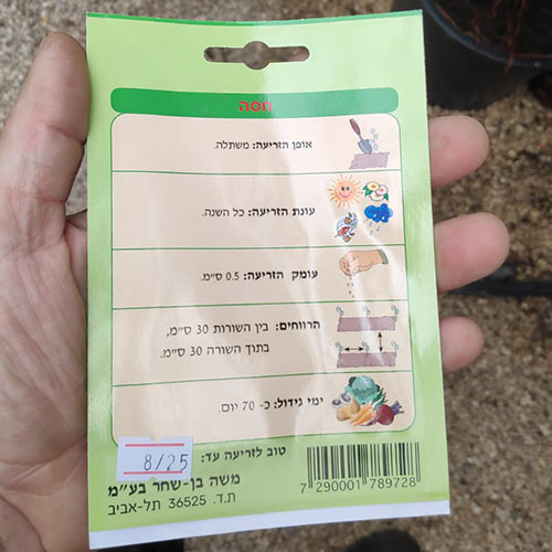 חבילת זרעים של חסה
