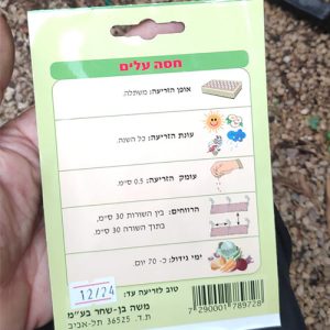 חבילת זרעים של חסה עלים