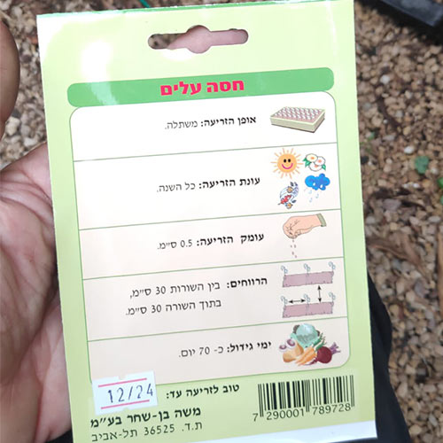 חבילת זרעים של חסה עלים