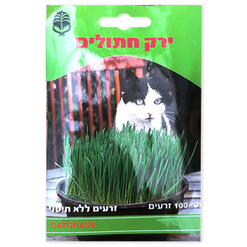 זרעי ירק חתולים