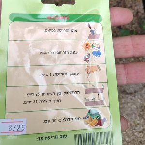 חבילת זרעי כוסברה