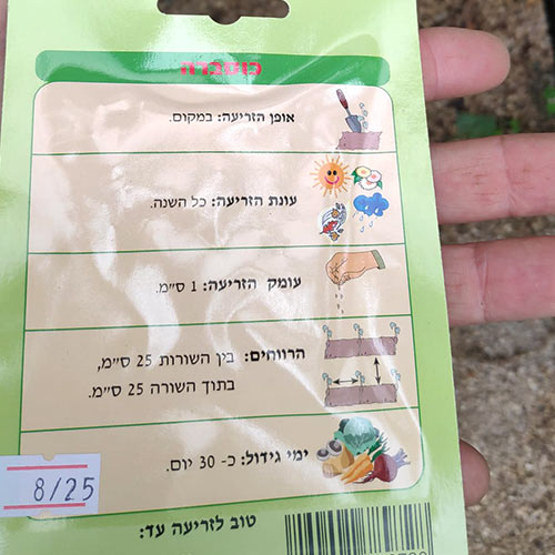 חבילת זרעי כוסברה