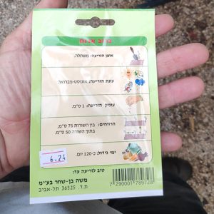 חבילת זרעי כרוב אדום