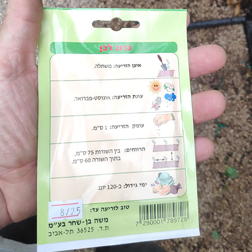 חבילת זרעי כרוב לבן