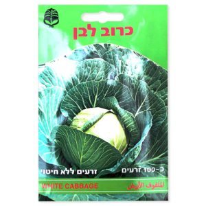 זרעי כרוב לבן