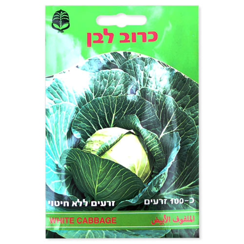 זרעי כרוב לבן