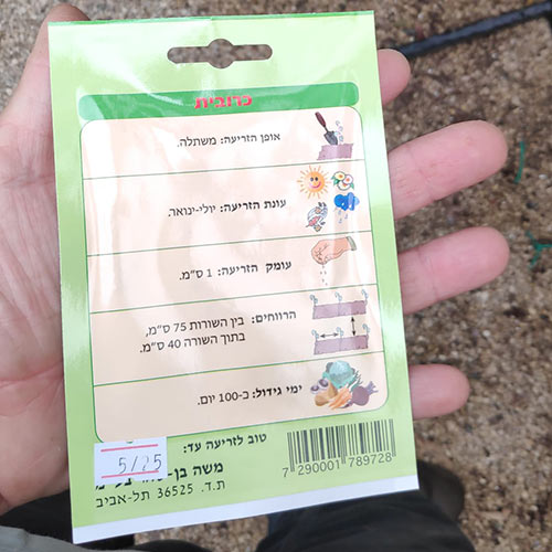 חבילת זרעי כרובית