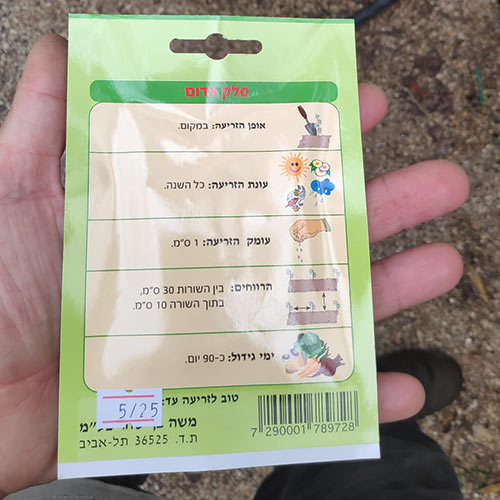 חבילת זרעי סלק אדום