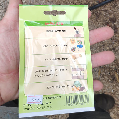 חבילת זרעי סלק עלים