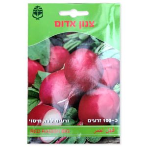 זרעי צנון אדום