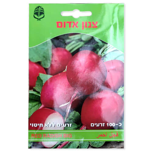 זרעי צנון אדום