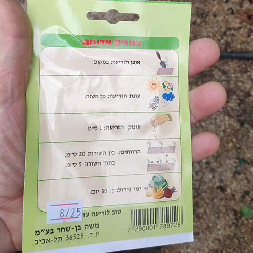 חבילת זרעי צנונית אדומה
