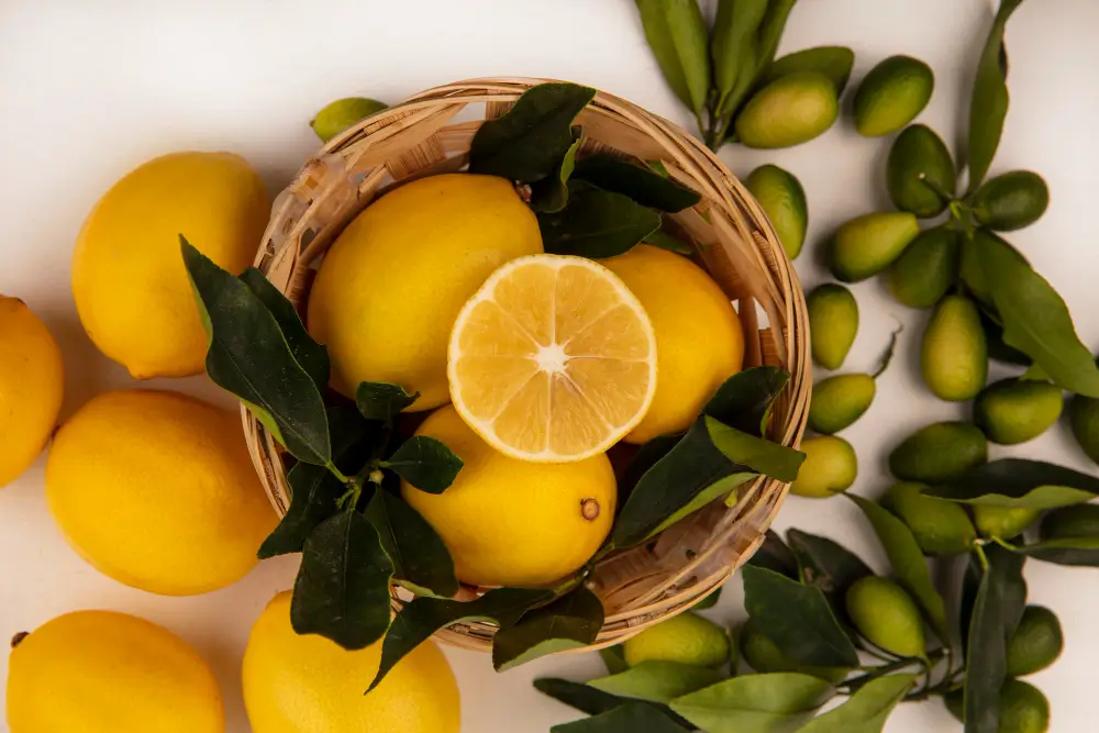 פירות עץ לימון