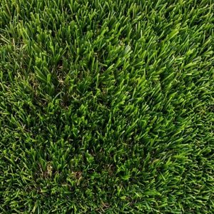 דשא סינטטי נרקיס